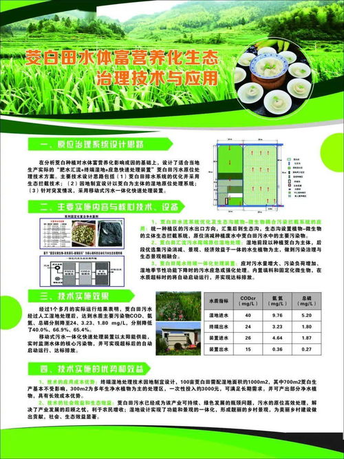 麗水山區(qū)茭白綠色可持續(xù)發(fā)展技術(shù)示范現(xiàn)場(chǎng)會(huì)在新建鎮(zhèn)召開(kāi)